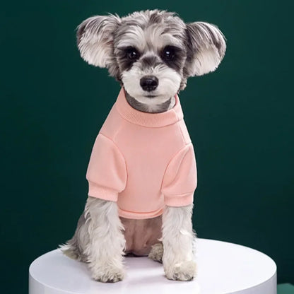 Winter Dog Pullover - Cute Bear Pattern Sweatshirt for Small Medium Pets - ZOOMNSTORE