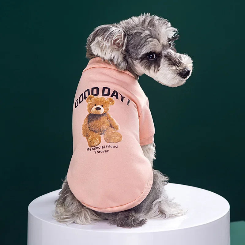 Winter Dog Pullover - Cute Bear Pattern Sweatshirt for Small Medium Pets - ZOOMNSTORE