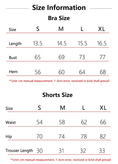Women Fitness Sports Set | Yoga Workout Outfit – Moisture Wicking Fabric, Quick Dry Activewear - ZOOMNSTORE