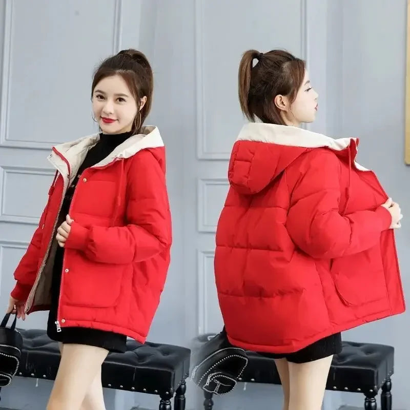 Womens Hooded Winter Jacket - Cotton Padded Warm Coat - ZOOMNSTORE