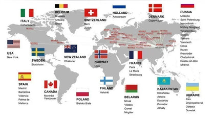 Luxury Womens Casual T-Shirt - Short Sleeve Graphic Print 100 Cotton Top - ZOOMNSTORE