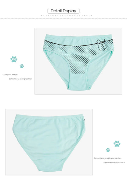 Women's Cotton Briefs - Plus Size Mid Rise Underwear | Sexy Print Panties 6 Pcs Set - ZOOMNSTORE