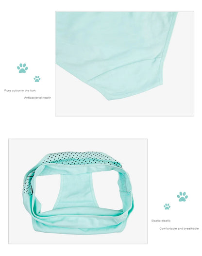 Women's Cotton Briefs - Plus Size Mid Rise Underwear | Sexy Print Panties 6 Pcs Set - ZOOMNSTORE