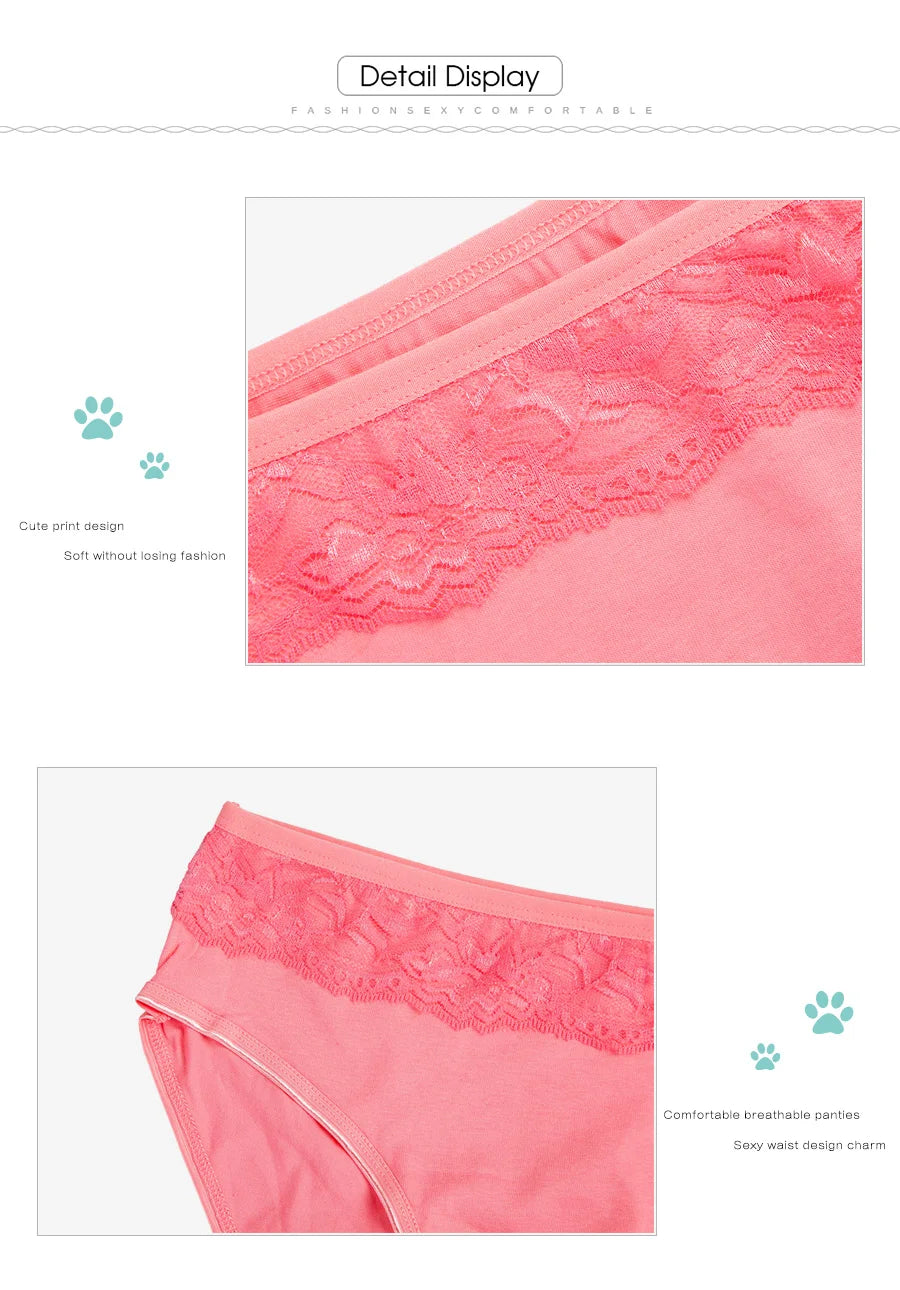 Women's Cotton Briefs - Plus Size Mid Rise Underwear | Sexy Print Panties 6 Pcs Set - ZOOMNSTORE