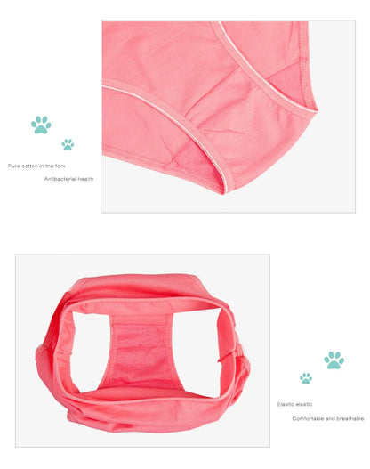 Women's Cotton Briefs - Plus Size Mid Rise Underwear | Sexy Print Panties 6 Pcs Set - ZOOMNSTORE