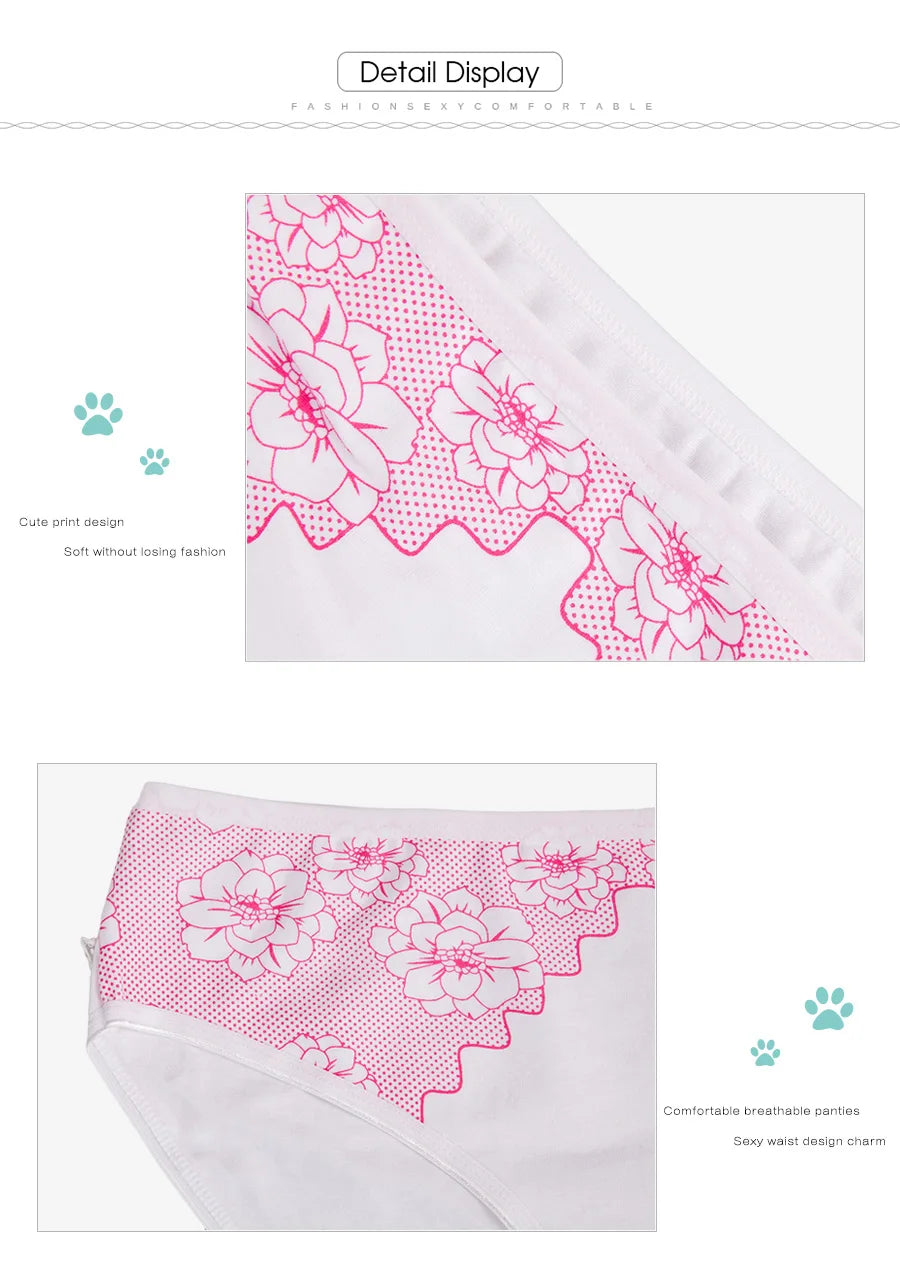 Women's Cotton Briefs - Plus Size Mid Rise Underwear | Sexy Print Panties 6 Pcs Set - ZOOMNSTORE