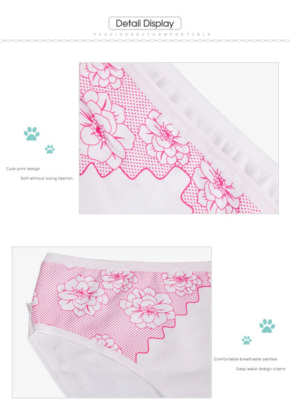 Women's Cotton Briefs - Plus Size Mid Rise Underwear | Sexy Print Panties 6 Pcs Set - ZOOMNSTORE