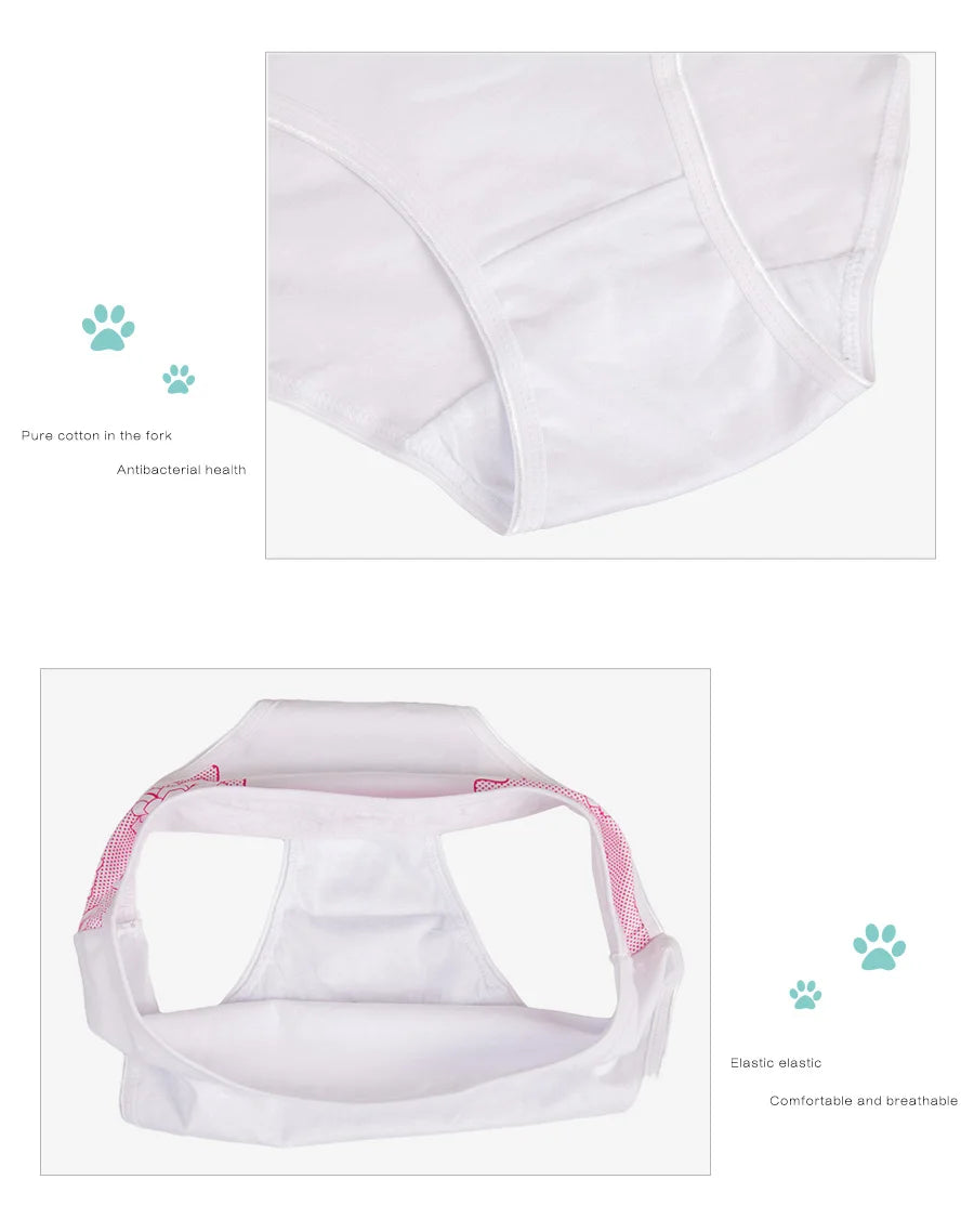 Women's Cotton Briefs - Plus Size Mid Rise Underwear | Sexy Print Panties 6 Pcs Set - ZOOMNSTORE