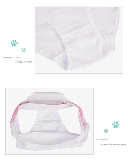 Women's Cotton Briefs - Plus Size Mid Rise Underwear | Sexy Print Panties 6 Pcs Set - ZOOMNSTORE