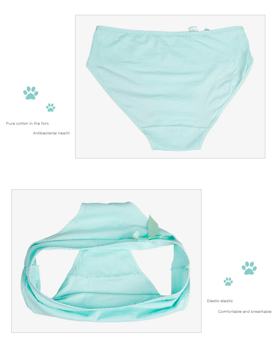 Women's Cotton Briefs - Plus Size Mid Rise Underwear | Sexy Print Panties 6 Pcs Set - ZOOMNSTORE