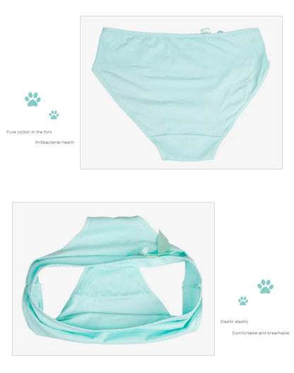 Women's Cotton Briefs - Plus Size Mid Rise Underwear | Sexy Print Panties 6 Pcs Set - ZOOMNSTORE