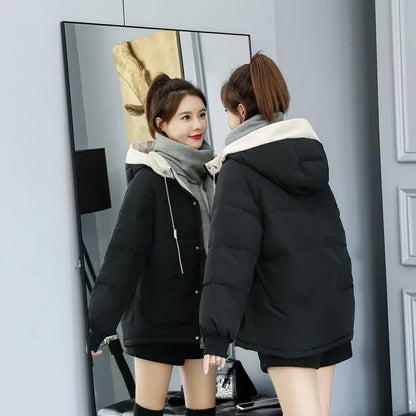 Womens Hooded Winter Jacket - Cotton Padded Warm Coat - ZOOMNSTORE