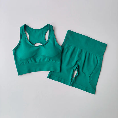 Womens Seamless Yoga Set - High Waist Sports Bra  Shorts Gym Outfit - ZOOMNSTORE