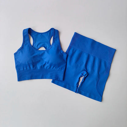 Womens Seamless Yoga Set - High Waist Sports Bra  Shorts Gym Outfit - ZOOMNSTORE