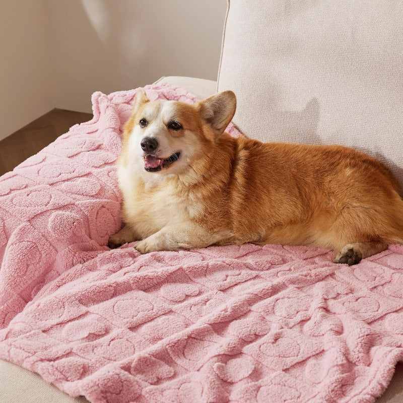 Washable Bedsure Dog Blanket for Large Dogs  Cats - Soft 300GSM Coral Fleece Pet Blanket Cozy Navy Design 40x50 IN - ZOOMNSTORE