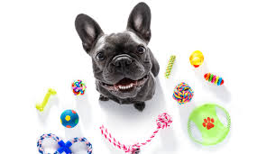 PETS TRENDING ITEMS